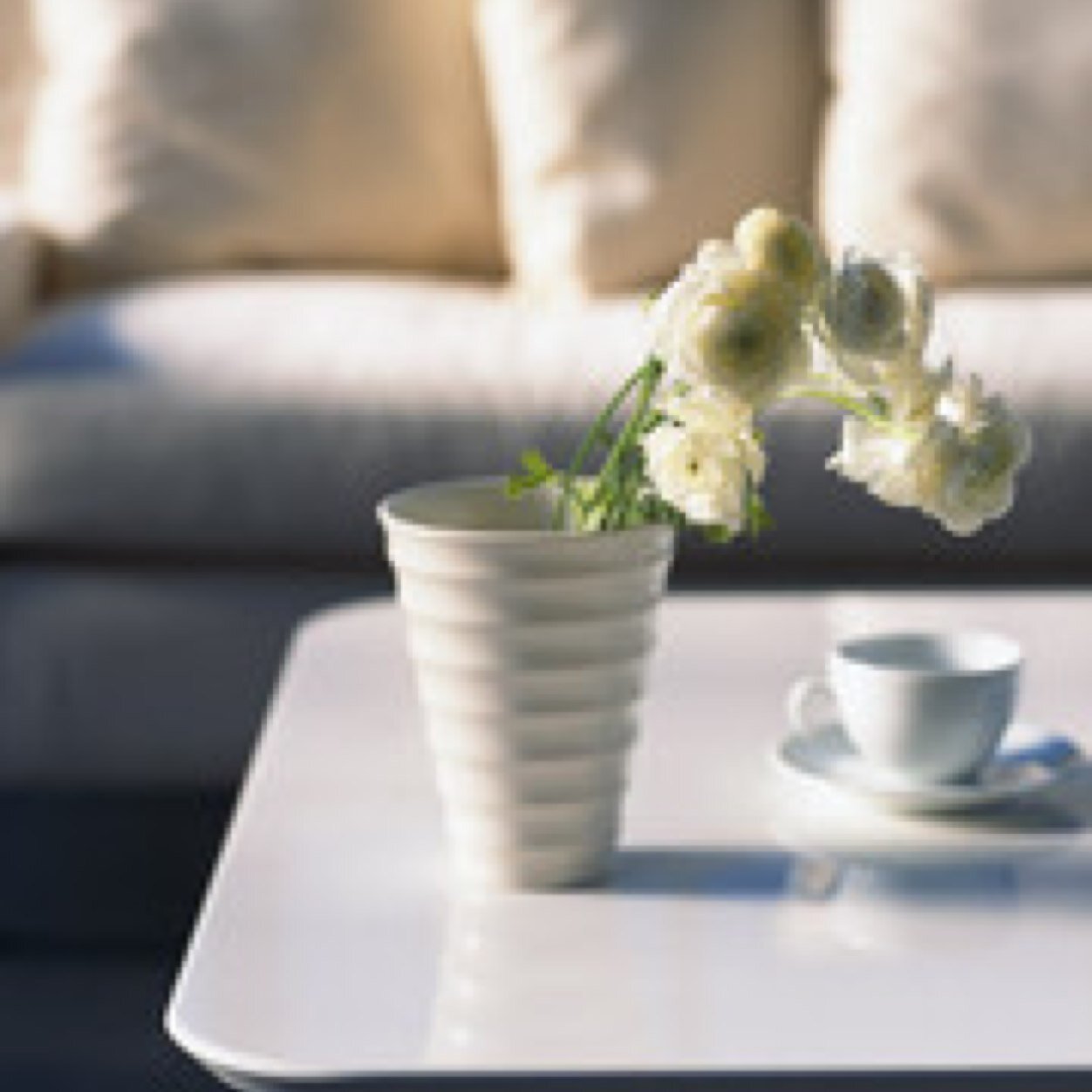 PERSONAL SHOPPER DECO LOW COST
Te asesoramos y vamos de compras contigo, siempre adaptándonos a tu presupuesto y haciendo tu casa especial.