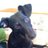 ArJay_84's profile image