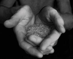 World Hunger Project http://t.co/SEg2owRIkk