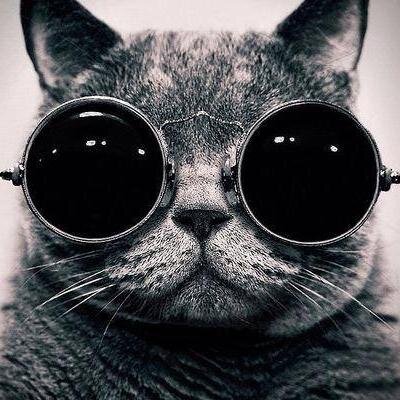 FabryDragonil's profile picture. ☆ People=shit ☆