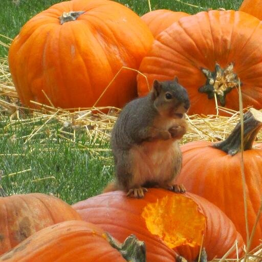 cd_irwin's profile picture. Christian, Husband, Father, Youth Leader, Nature Photography Fan