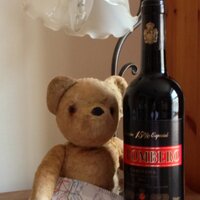 Jane the Bear(@notpaddington) 's Twitter Profile Photo