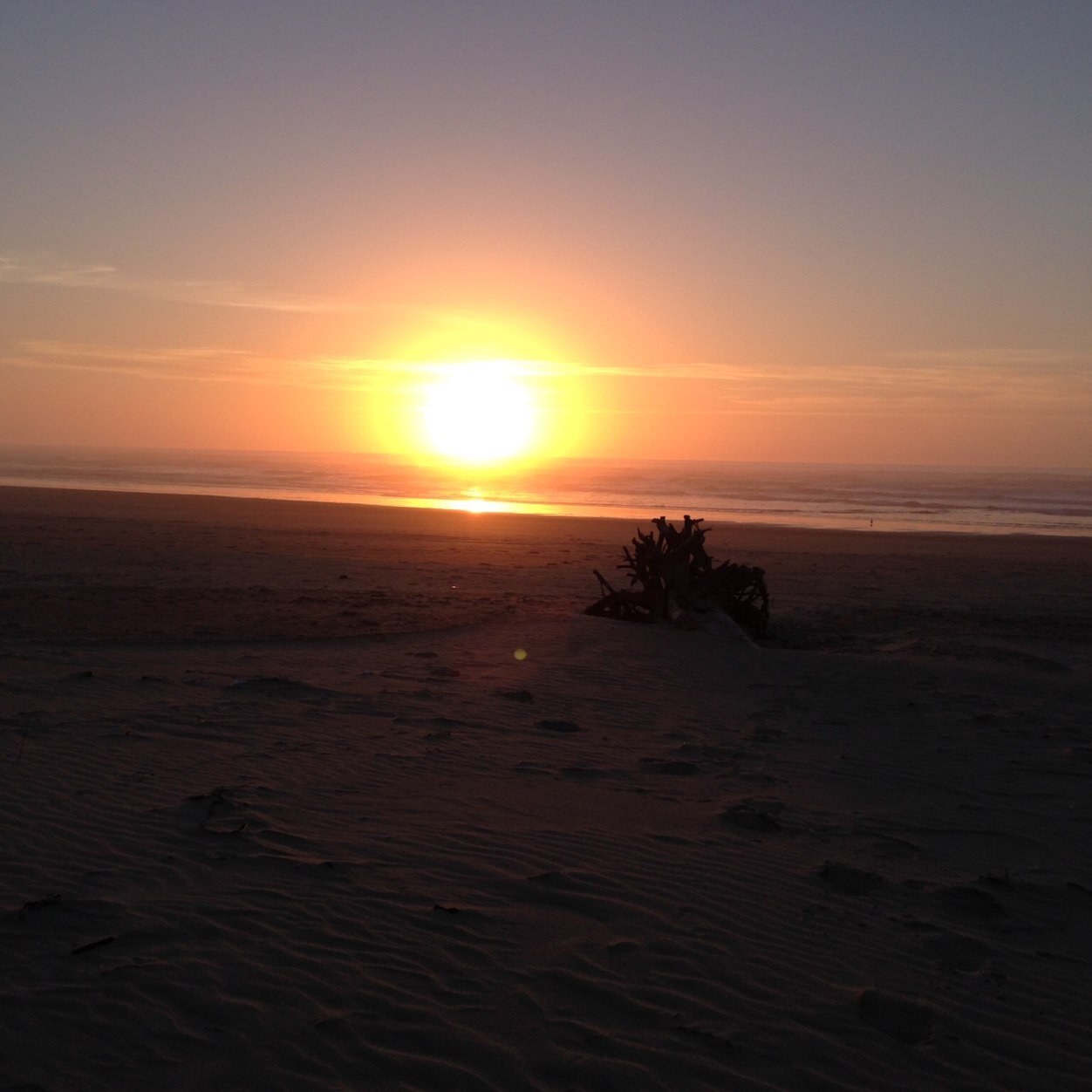 Swinnen5575's profile picture. 