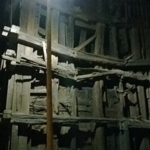 leds4444's profile picture. 