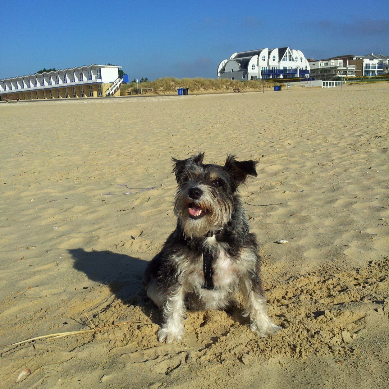 mallratuk's profile picture. 