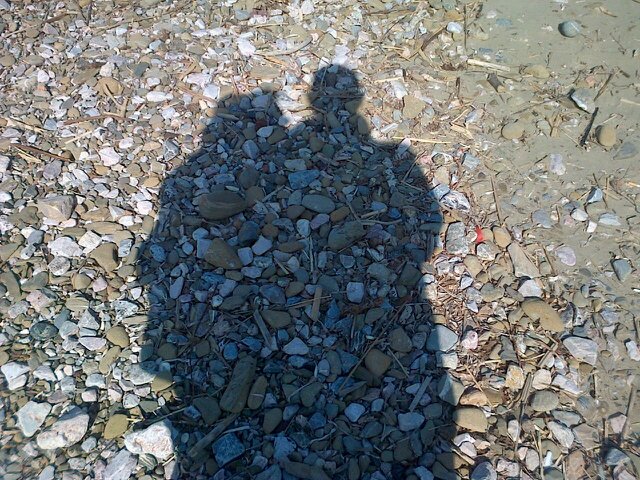 flora_bicelli's profile picture. 