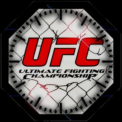 #UFC #ANDERSONSILVA #SPIDER #ALLANPATRICK #UFCBR