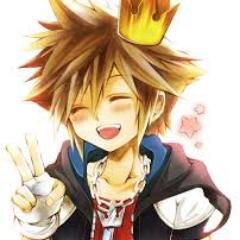 My name is Sora. I am the master of the keyblade and I will fight the darkness! //Kingdom Hearts RP//