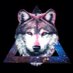 Wolf of Wisdom (@wolfofwisdom1) Twitter profile photo