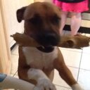 ᔕᕼᗩᑎᑎOᑎ ᑕᗩᔕEY - @Casey7Shannon - Twitter