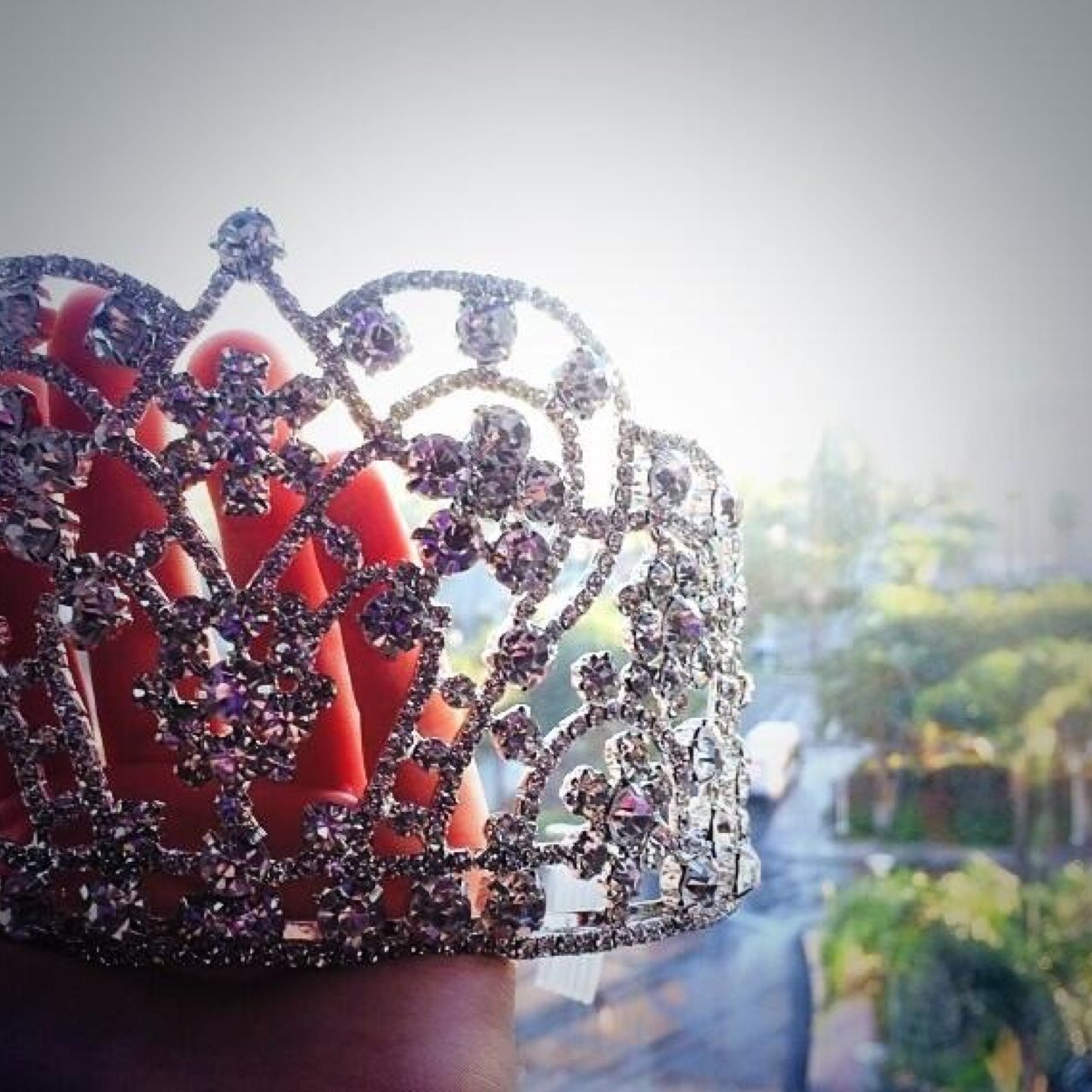 NAMissCali's profile picture. 