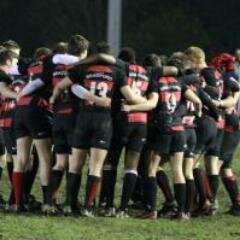 mashely19765's profile picture. Rugby player