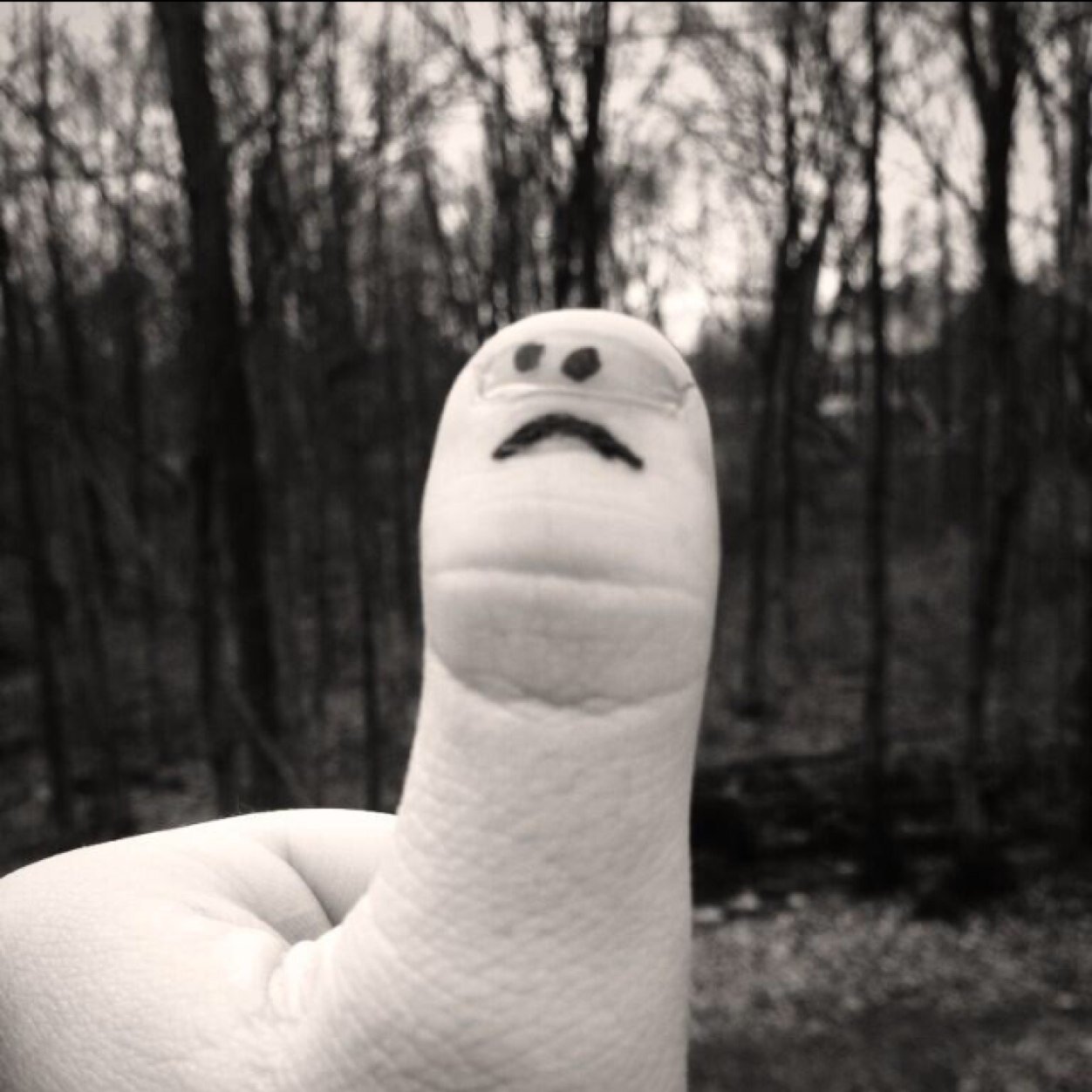 Thumbpics's profile picture. 