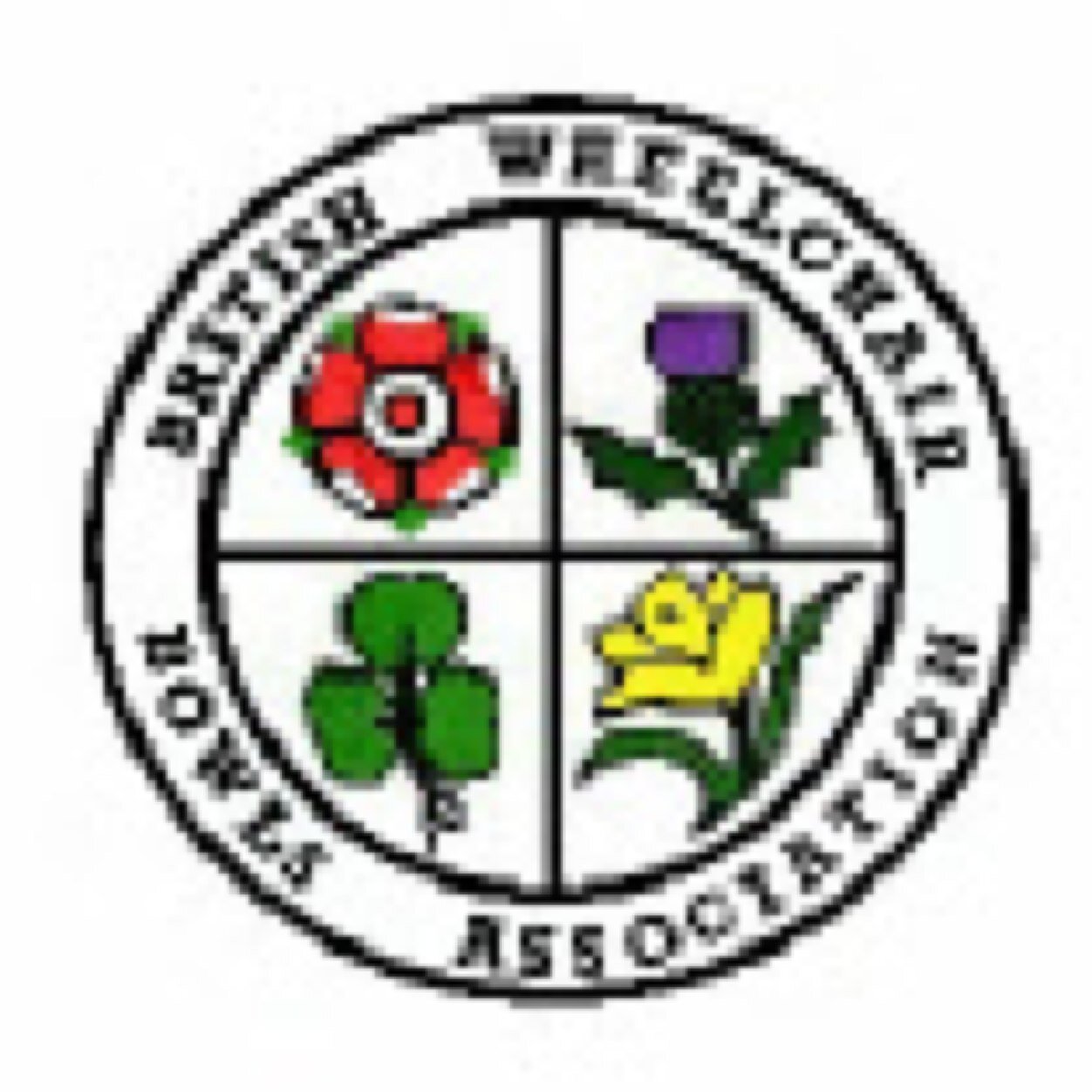 The BWBA is recognised as the governing body for wheelchair bowls in the UK.  It is available to help bowlers, clubs, and associations.