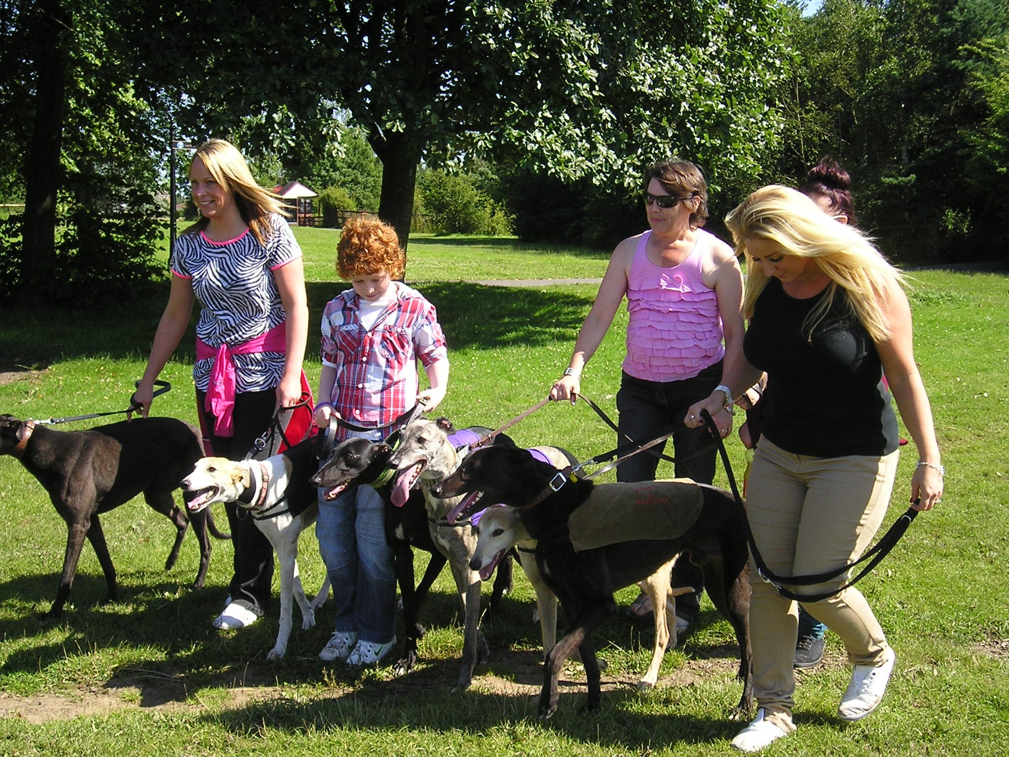GRACE Greyhound Rescue is a small North East charity which rescues, re-habilitates and rehomes unwanted and abused greyhounds, lurchers and other sighthounds.