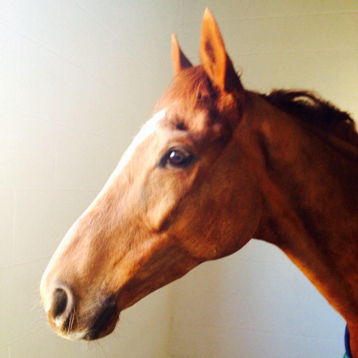 stepheasterby's profile picture. 