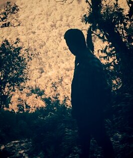 luismaas1996's profile picture. 