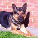 Gareth Dixon - @SierraZulu31 - Twitter