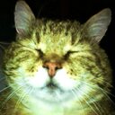 Melanie Wenzel - @wenzel_melanie - Twitter