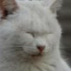 気持ちがホッとするような笑えるネタ・面白ネタ・癒しネタをつぶやきます。「これは面白いなぁ・・」と思ったらリツイートお願いします(^O^)/