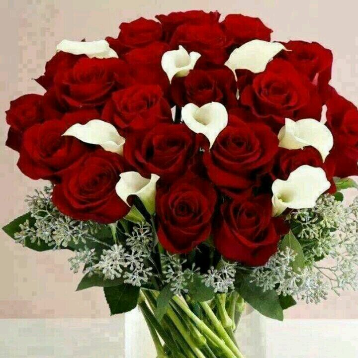 AmiraHannamrmr's profile picture. 