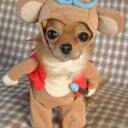 a0v0a0t0a0r0's profile picture. Ура! Я дома.