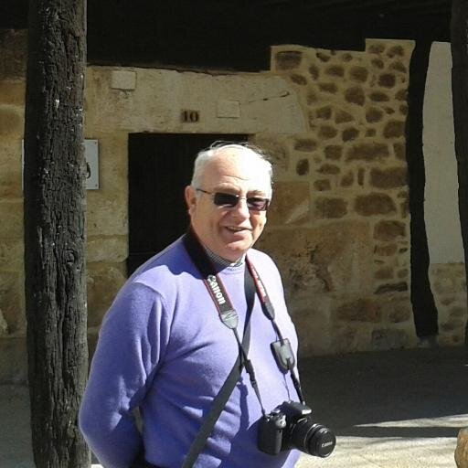 Llicenciat en Història, Professor d'Educació Secundària, Inspector d'Educació. Jubilat