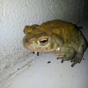 David Breslin - @dbrzz - Twitter