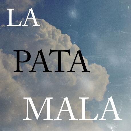18 años. Chileno. Estudiante. Escritor y observador. Autor del Blog La Pata Mala