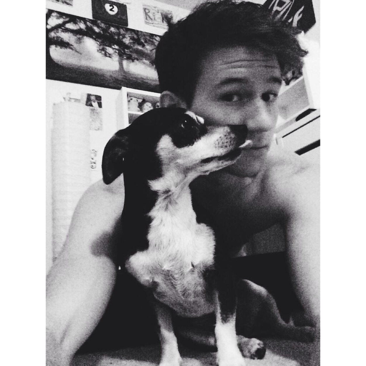 This is a free follow dont follow back! Go follow @FandomWhoreKK i follow back! Thank you!