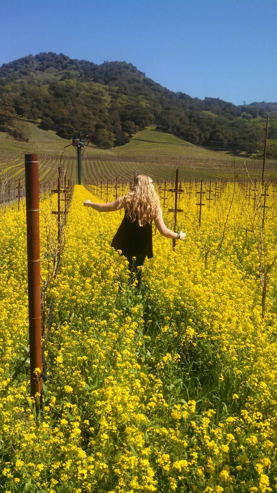 JessicaFaith_4u's profile picture. 