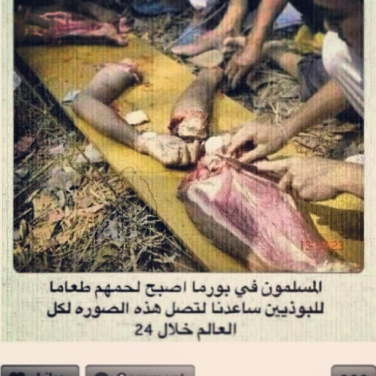 لا اله الا الله