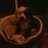 slam2728's profile image