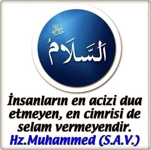 araz_koylu's profile picture. 