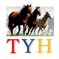 TrustyourHorseD's profile picture. Ich lehre feines und intelligentes Reiten und einen vertrauensvollen Umgang mit dem Pferd - Die Grammatik des Reitens