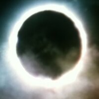 Tim (@tomtim720) 's Twitter Profile