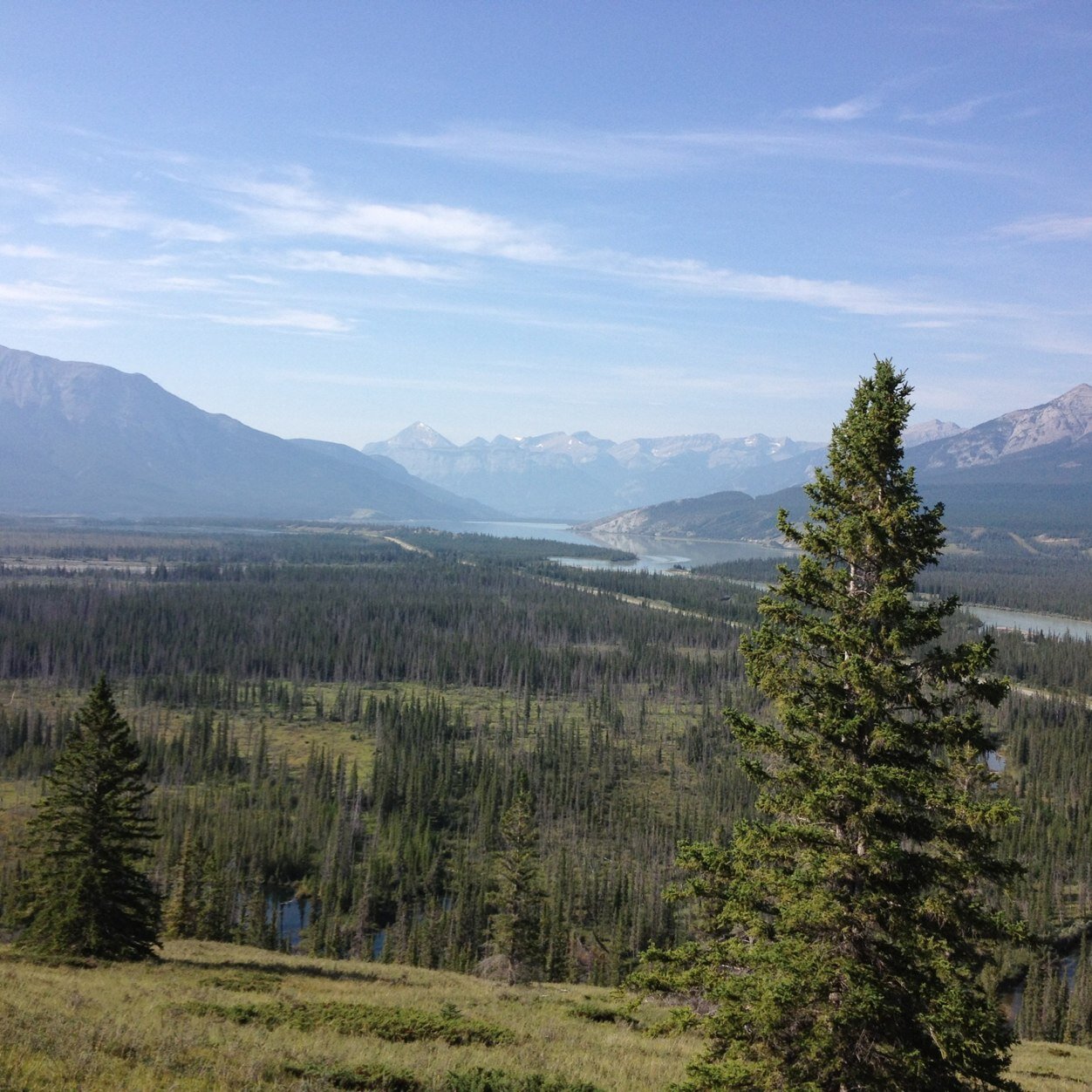 A wonderfully dynamic community. Gateway to the rockies. Proud Hintonites sharing all that is good about our community.