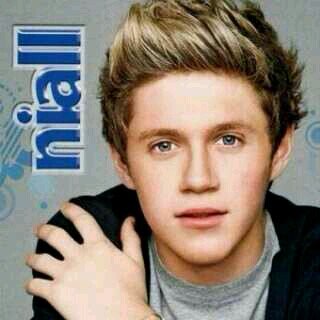 i love niall horan and all his little things :)