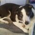 josie jones (@millysoo44) Twitter profile photo josie jones (@millysoo44) Twitter profile photo