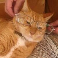 explorethelore (@explorethelore) 's Twitter Profile