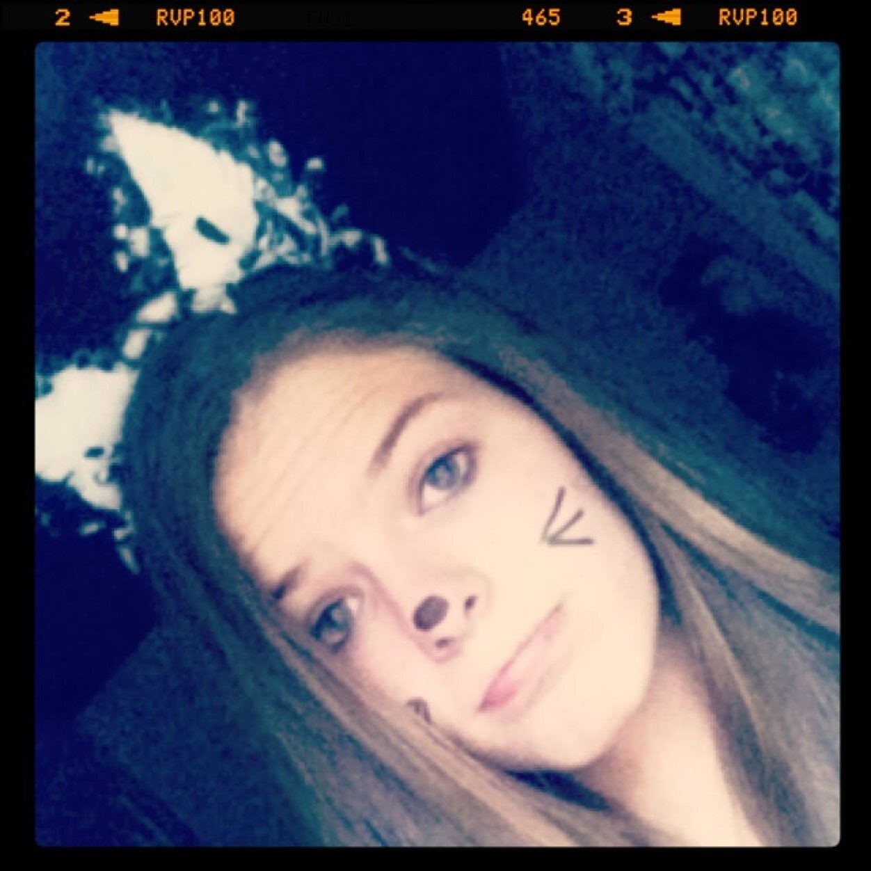 kpendzich_niall's profile picture. 