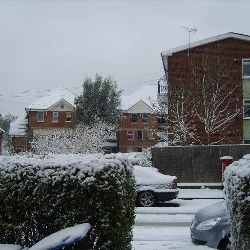 FMachona's profile picture. 