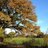 Uffculme's profile image