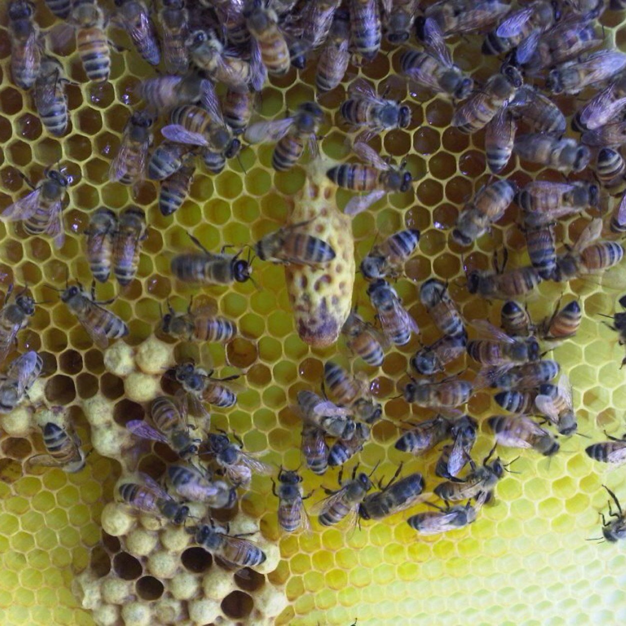 SupersedureFilm's profile picture. 