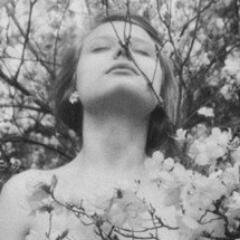Прощай, позабудь и не обессудь. А письма сожги, как мост. Да будет мужественный твой путь, да будет он прям и прост...