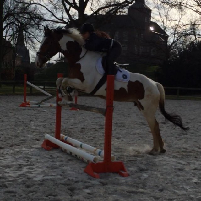 SchaeferMalika's profile picture. 