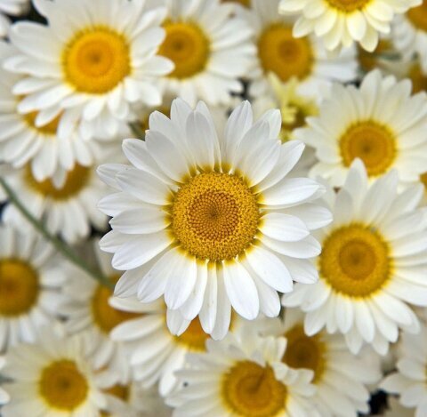 u have a free follow ~ follow @asbridget_