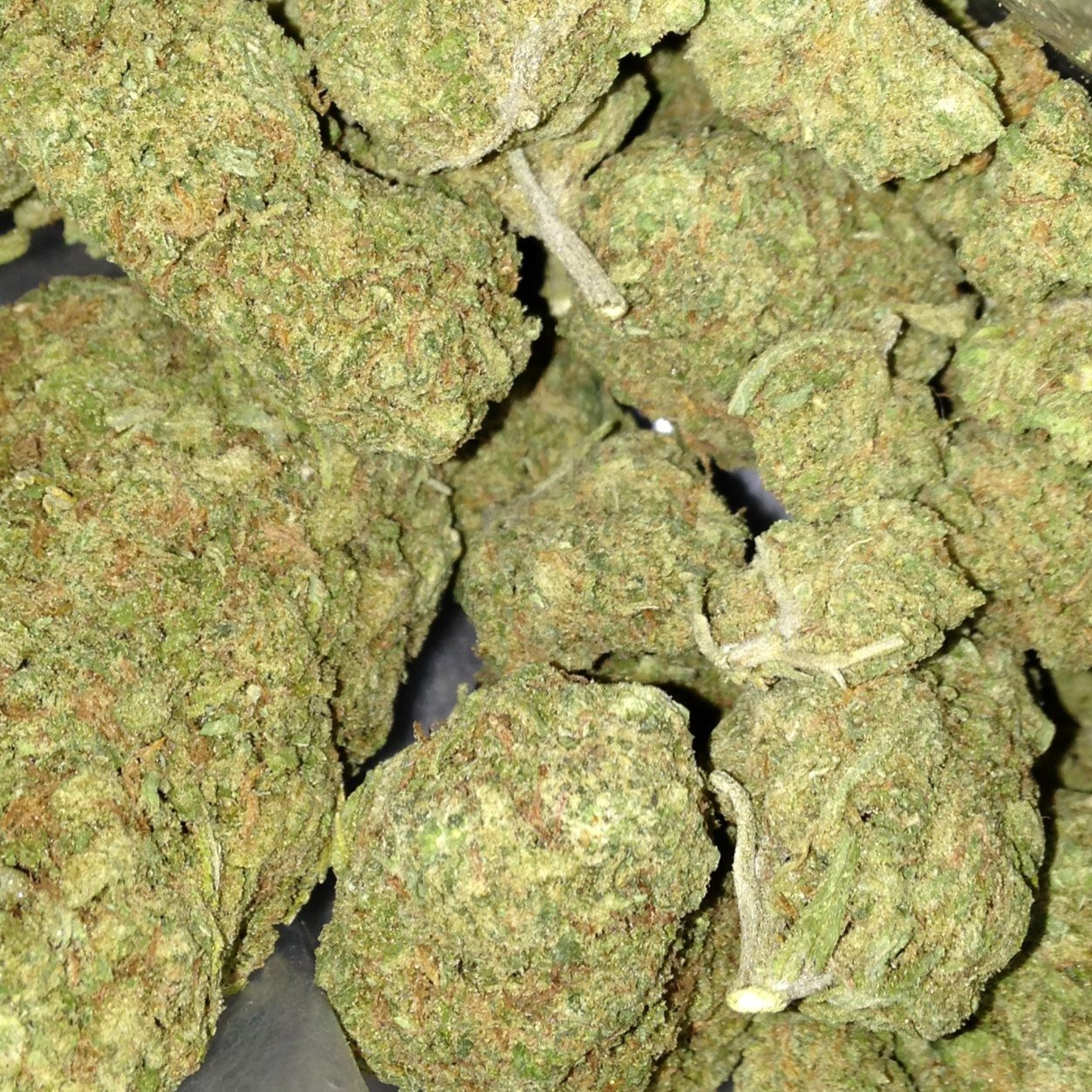 Just a trippy ass stoner who smokes piff. #getlikeme #gethigher #420 #631