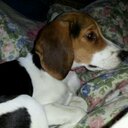 AMY BERNHARD - @amyjohelen - Twitter