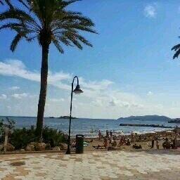 9b3ae9ea533449c's profile picture. 